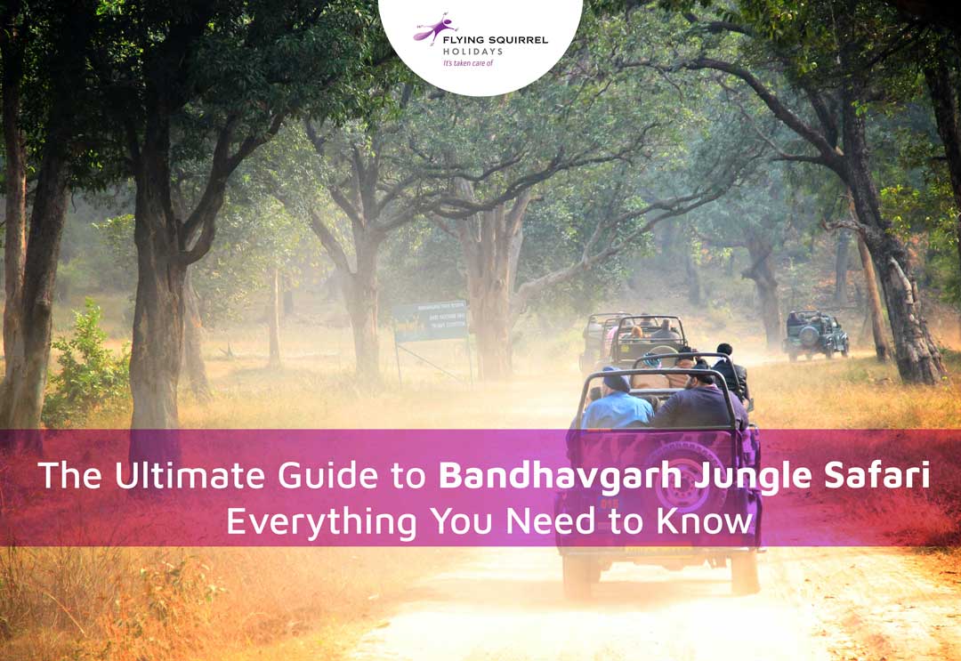 The Ultimate Guide To Bandhavgarh Jungle Safari: Everything You Need To ...